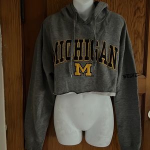 Michigan Cropped Hoodie